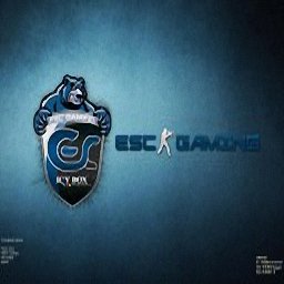 CS 1.6 ESC Gaming