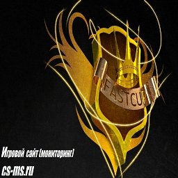 CS Fast CUP
