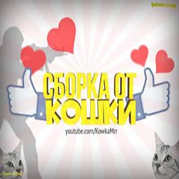 CS от кошки